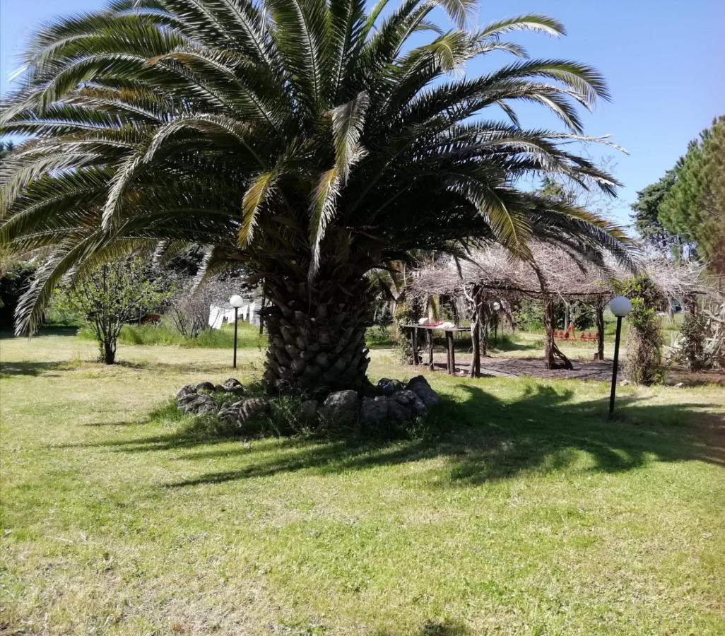 Capolinea Al Mare Bed & Breakfast Орбетело Екстериор снимка